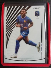25-26 panini Eternity Bleus
