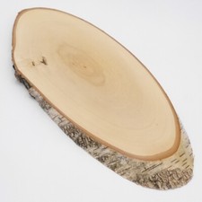 Bouleau Cerf Af 43 CM Cerf