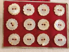 Rare petite plaque boutons anciens en nacre  1,2 cm  lot de 12 n°1l