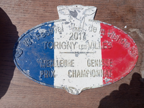 Grande plaque concours torigny - grande,