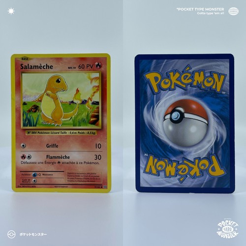 Salamèche 108 evolutions xy - evolutions,