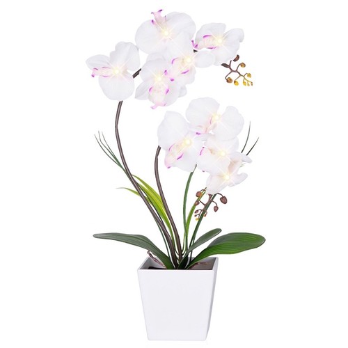 Led orchid lamp lighted - lamp,