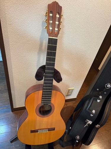 étui rigide pour guitare - Étui,