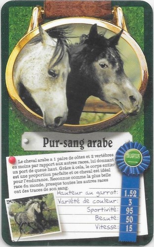 Carte top trumps chevaux - carte,