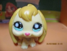 Petshop Lapin Bélier #864