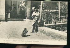 BLIDA LE RUISSEAU DES SINGES