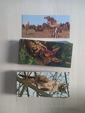 lot de 305 cartes Merveilles