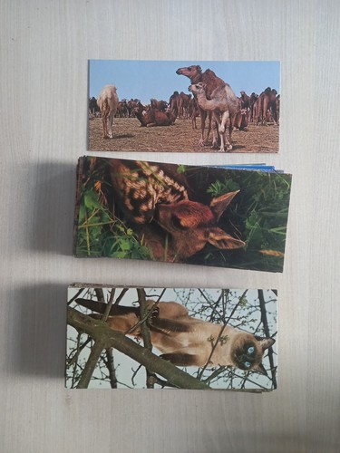 Lot 305 cartes - de,