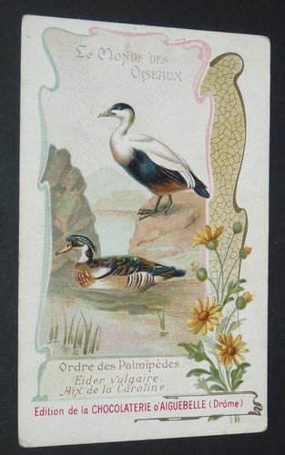 Chromo 1900 1920 chocolat - 1900-1920,
