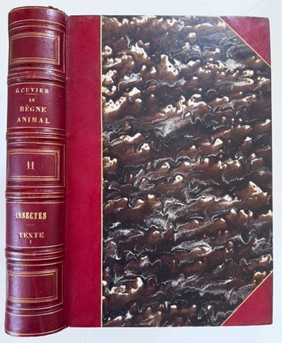 Georges cuvier le regne - cuvier,