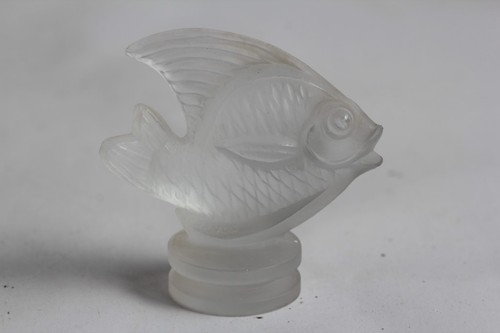 Sabino petit poisson verre - sabino,