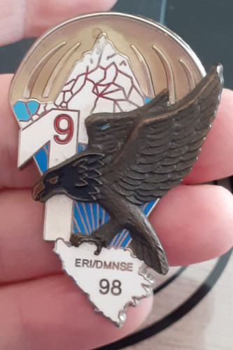 Insigne rcp 1 - insigne, 9