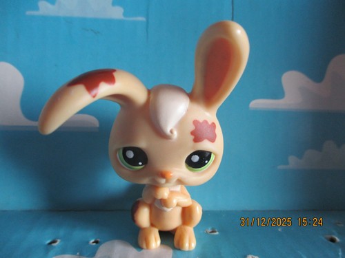 Petshop lapin garenne - lapin,