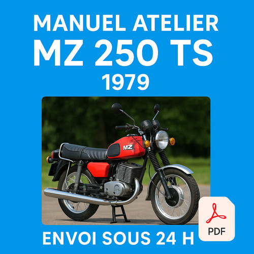 Manuel atelier 250 - atelier, ts