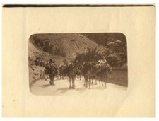 Tunisie, Caravane de chameaux