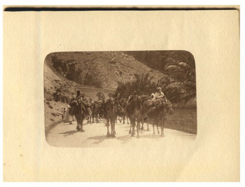 Tunisie caravane chameaux - tunisie,, de