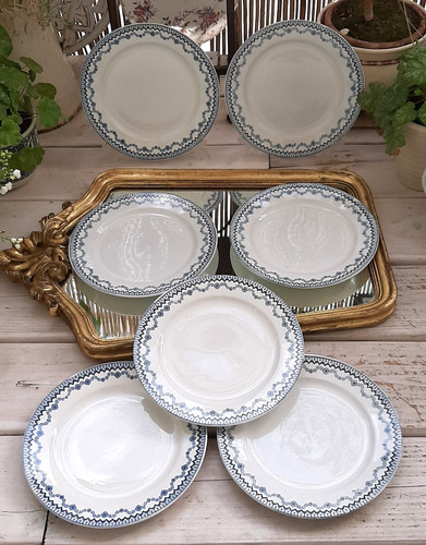 Assiettes plates - 7,