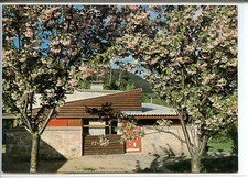 CP 67 Bas-Rhin - Albé - Village Vacances Famille - Un pavillon