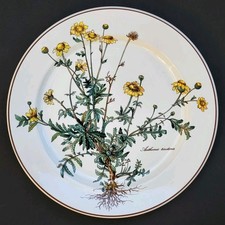 Sublime GRANDE ASSIETTE