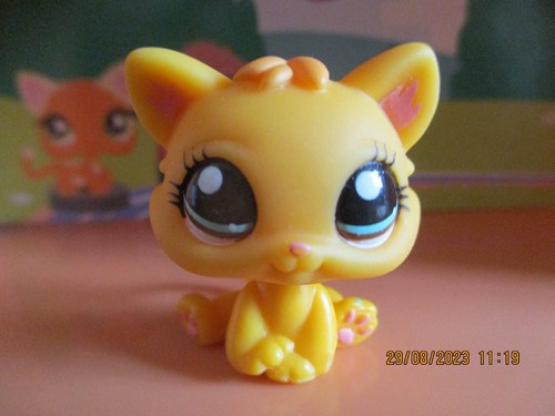 Petshop chaton 1053 - petshop,