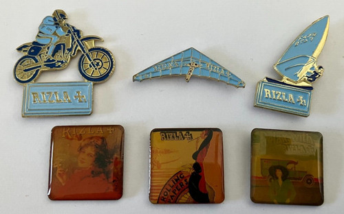 Pin s feuilles - pin's,