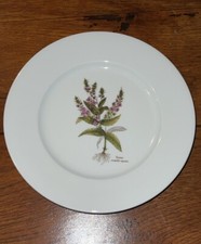 Rare Assiette plante Fleurs veronica anagallis-aquatica Style La Reine Limoges