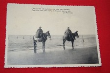 BELGIQUE OOSTDUINKERKE BAINS PECHEURS A CHEVAL FILET