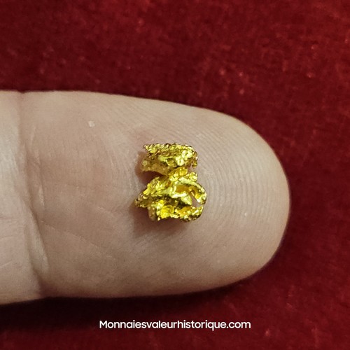 Pépite naturelle - pépite, d'or