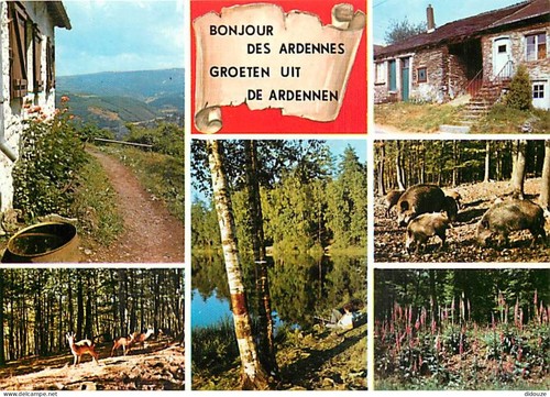 Carte postale belgique - postale,