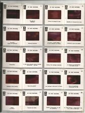 20 diapositives le gaz naturel