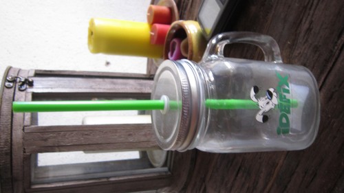 Gourde verre asterix idefix - en,