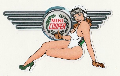 Mini cooper left - pin, up