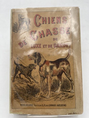 Chiens chasse luxe de - de, luxe,