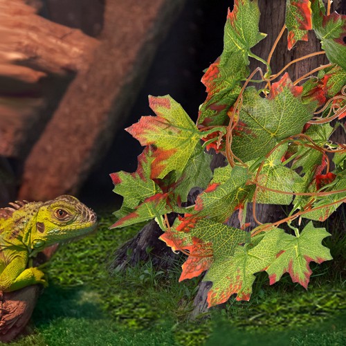 Accessoire pour terrarium - pour,