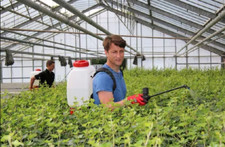 Pulvérisateur À Dos À