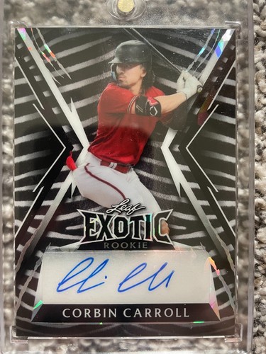 2023 leaf exotic - 2023,