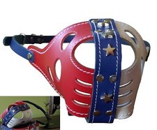 Museau Américain Pitbull Staffordshire Bullterrier Rottweiler Dogo Museau USA