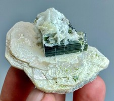 Cristal de Tourmaline verte cristallisé d'Albite sur matrice de Mica/73 grammes