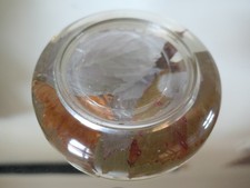 Vide poche inclusion résine