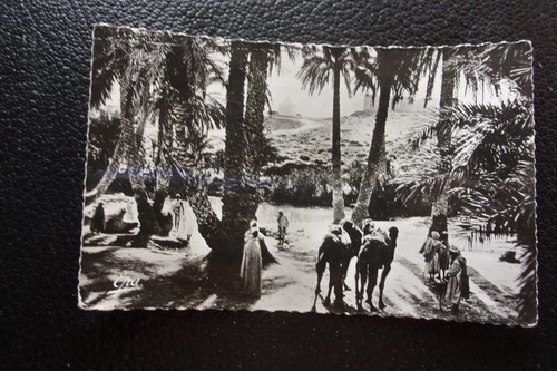 Algerie carte postale 1955 - -,