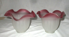 Tulipes abat jour globes - tulipes,