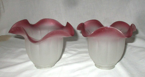 Tulipes abat jour - jour, globes
