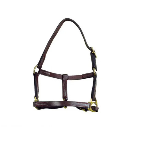 Licol poulain cuir - licol, en