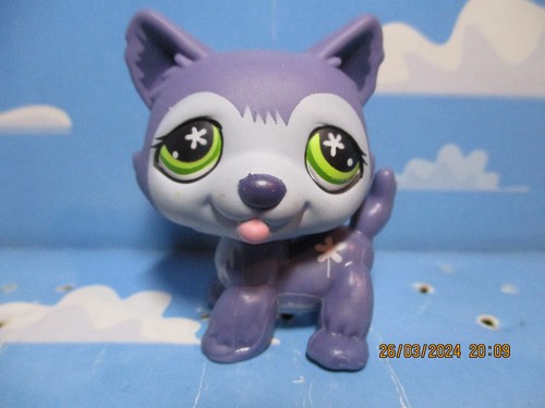 Petshop chien husky 487 - chien, /