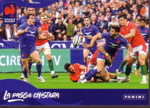 Card panini rugby - card,