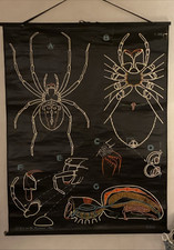 Affiche Scolaire 1958 #S.56