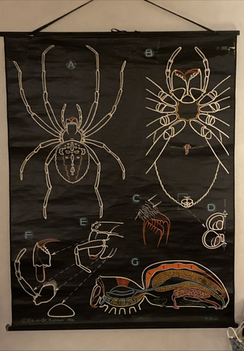 Affiche scolaire 1958 - 1958, #s.56