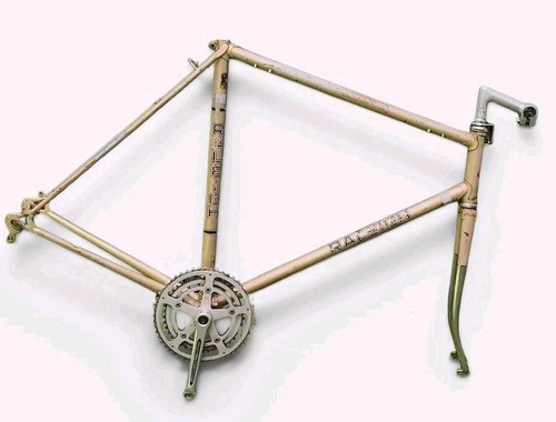 Raleigh rapid reynolds - raleigh,