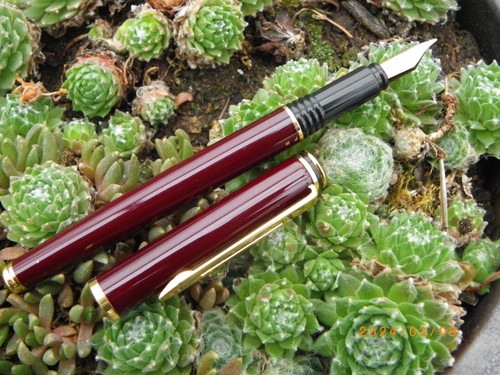 Stylo plume waterman maestro - stylo,