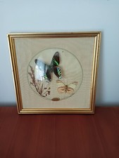 encadrement verre bombé